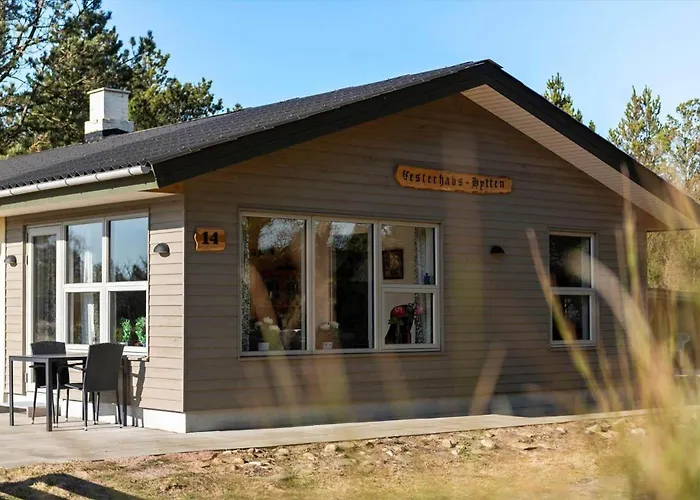 度假居 Bv439-blavand-horns-bjerge-14 *